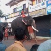 Fotos Kerala Nov-Dez 2011 teil 2 422.jpg
